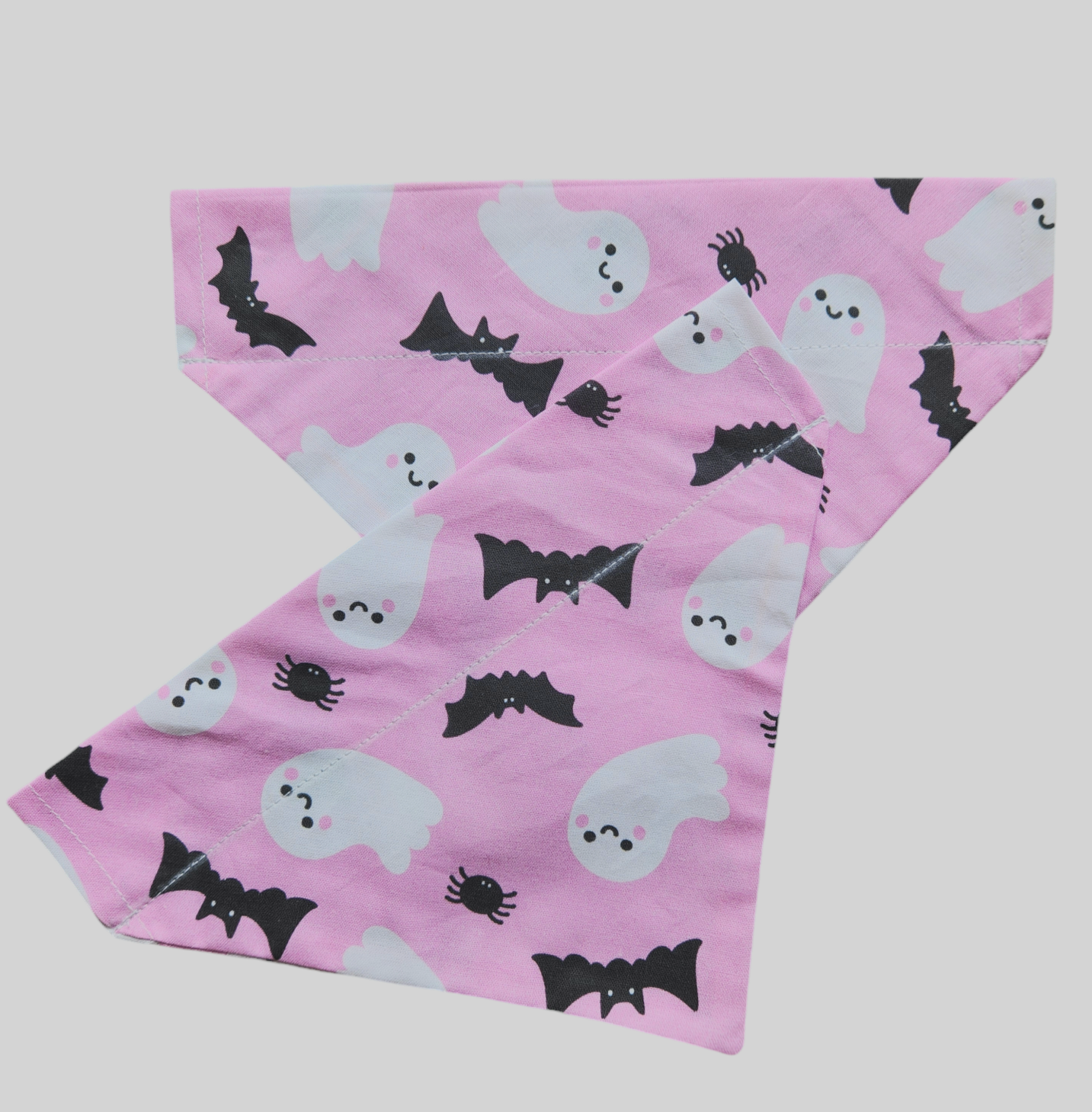 Ghosts, Bats and Spiders