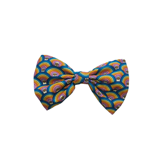 Medium Rainbow Bow