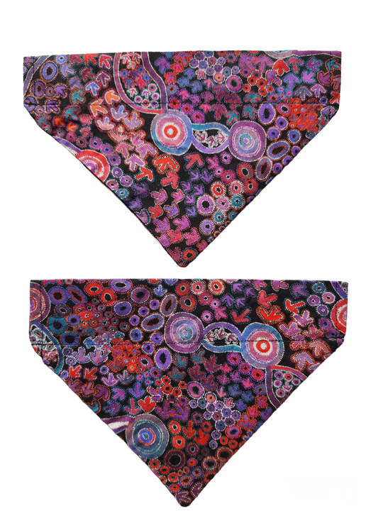 Small Emu Dreaming Bandanna