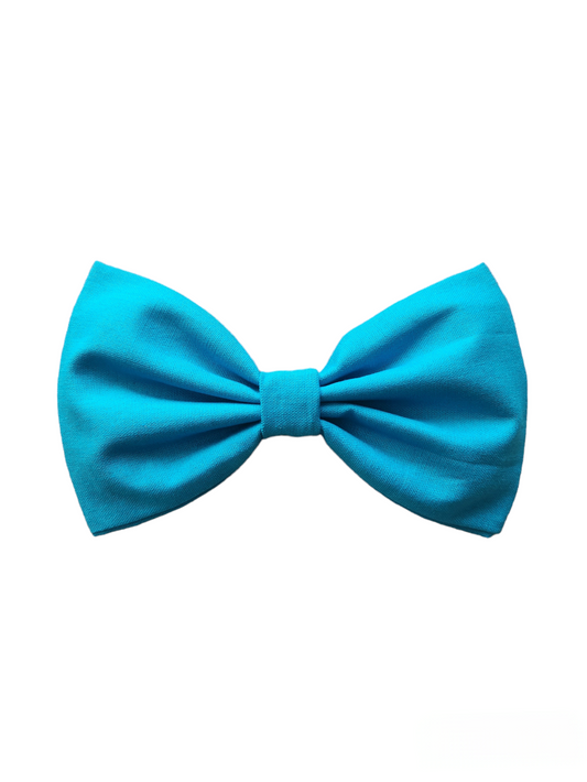 Medium Baby Blue Bow
