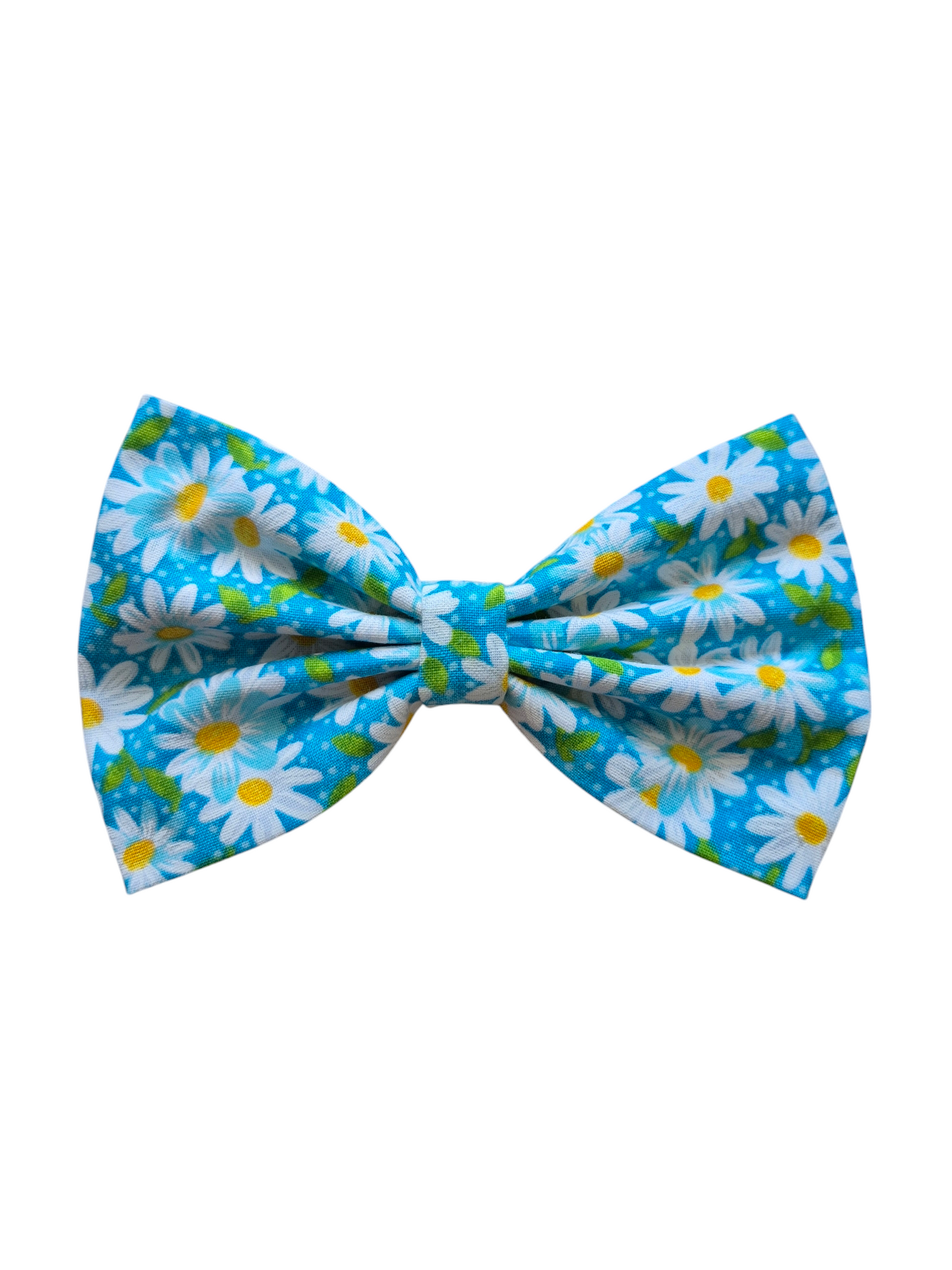 Daisy Bow